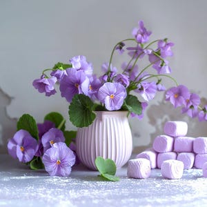 Violet Marshmallow - The Shy Girl&#39;s Time to Shine - Body Butter, Body Cream, Hair Perfume, Body Spray, Body Mist, Body Oil, Perfume