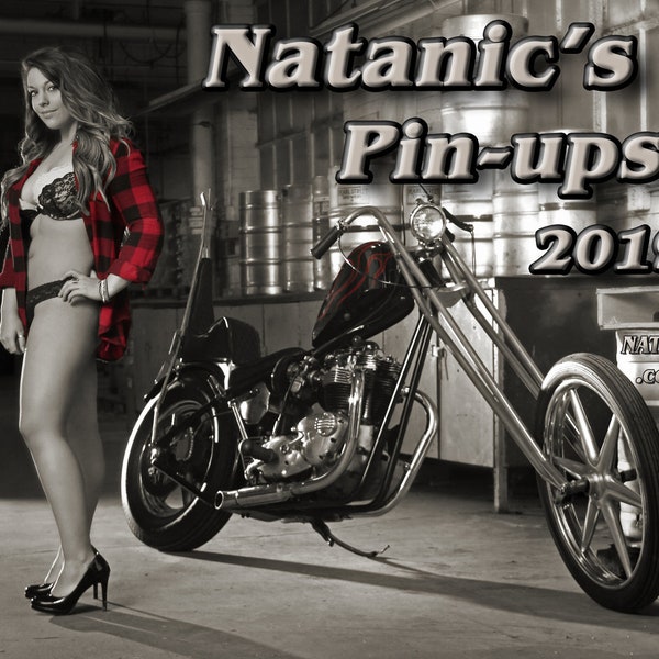 Natanic's Pin-ups 2019 calendar