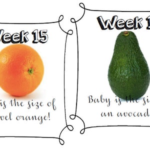 Week by Week Pregnancy Fruit Printable // Maternity Week by Week ...