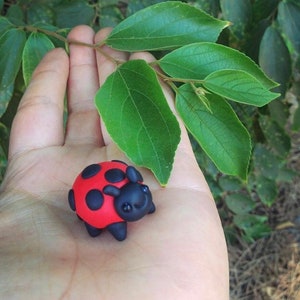 May include: A small red and black ladybug figurine with black eyes and a smiling face.