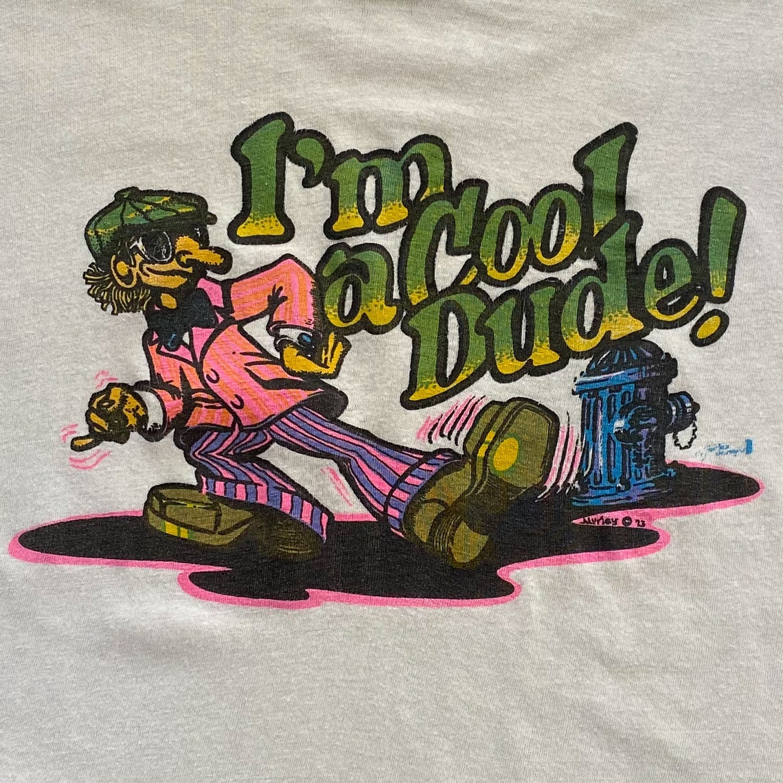 Vintage 1973 I'm A Cool Dude TShirt 70s Cool Dude Etsy