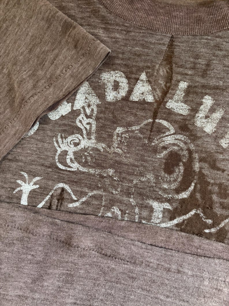 May include: A brown t-shirt with a distressed graphic print. The print features the word "DALLAS" in a faded white font, along with an illustration. The shirt has a crew neck and short sleeves. The fabric appears to be a soft, worn material.