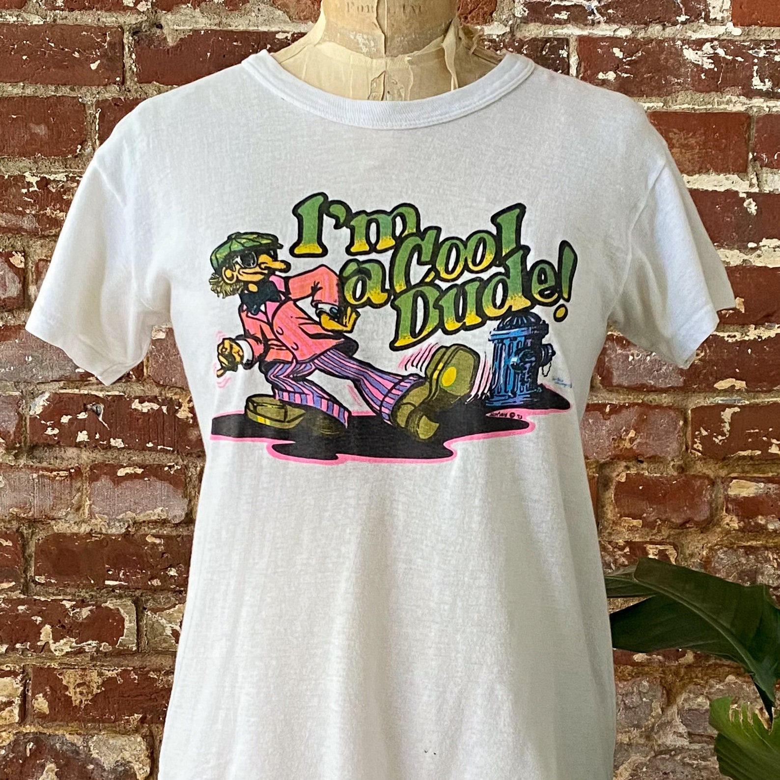 Vintage 1973 I'm A Cool Dude Tshirt 70s Cool Dude Etsy