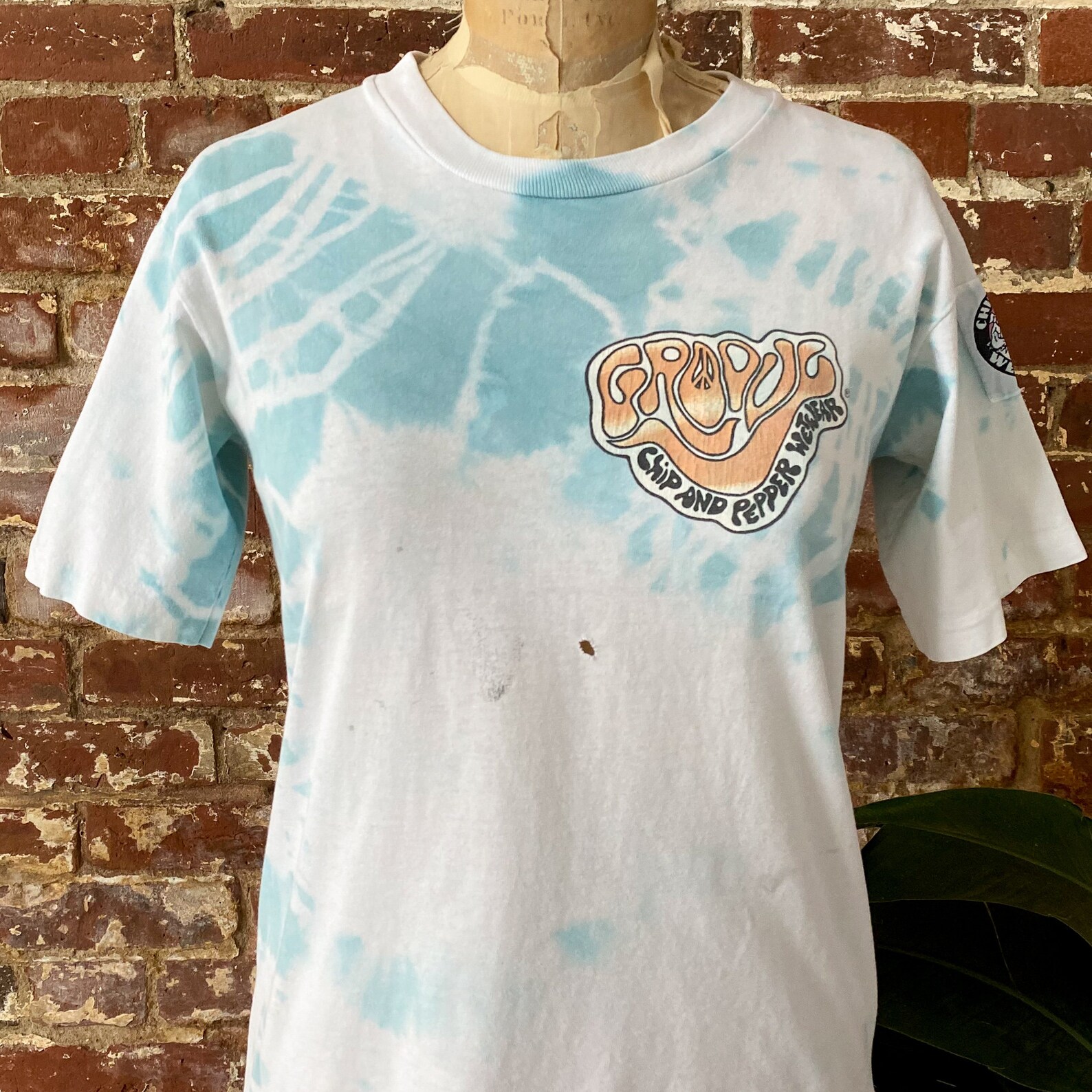 Vintage 1980s Chip and Pepper Wet Wear Tshirt 80s Groovy Etsy