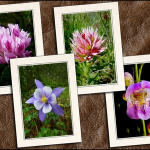Flower Photo Note Cards Set With Envelopes - Nature Blank Note Cards Handmade - 5x7 Flower Photo Greeting Cards Handmade - Floral - (GP459)
