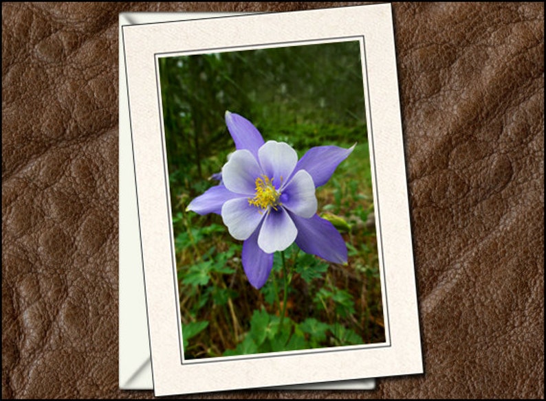 5x7 Nature Blank Note Cards Handmade GP428 3 Flower Photo Note Cards With Envelopes Nature Flower Photo Greeting Cards Handmade Set