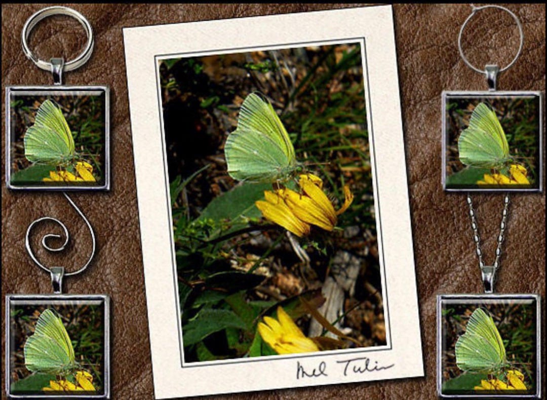 Butterfly Card Gift Set With Pendant, Keyring, Ornament or Wine Charm ...