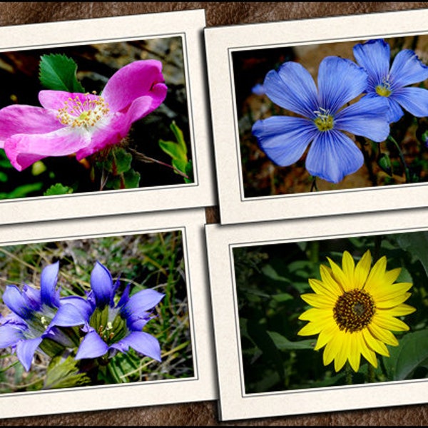 Flower Photo Note Cards Set With Envelopes - Nature Blank Note Cards Handmade - 5x7 Flower Photo Greeting Cards Handmade - Nature - (GP458)