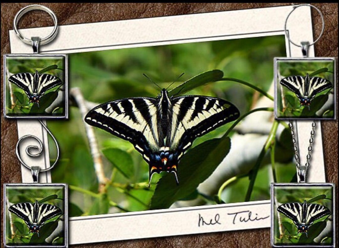 Butterfly Card Gift Set With Pendant, Keyring, Ornament or Wine Charm ...