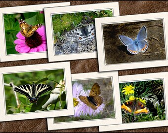 6 Butterfly Photo Note Cards Handmade - 5x7 Nature Blank Note Cards With Envelopes - Butterfly Photo Greeting Cards Handmade Set - (GP555)