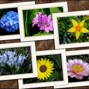 Flower Photo Note Cards With Envelopes - Nature Blank Note Cards Handmade - 5x7 Flower Photo Greeting Cards Handmade Set - Floral - (GP433)