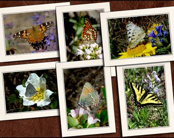 6 Butterfly Photo Note Cards Handmade Set - 5x7 Nature Blank Note Cards With Envelopes - Butterfly Photo Greeting Cards Handmade Set (GP59)