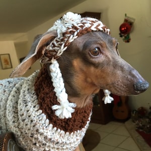 Dog sweater and hat made in crochet by Dachshund Wear