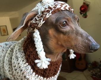 Dog sweater and hat made in crochet by Dachshund Wear