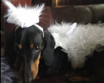 Bridal Dachshund Outfit -Dog Wedding dress