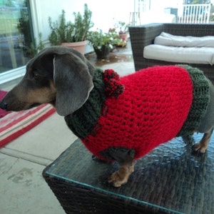 Dog Sweaters Two Color Custom Made