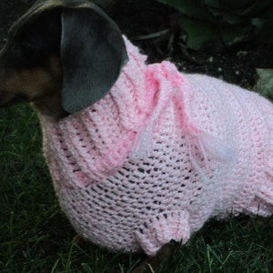 Dog sweater High neck sweater with scarf
