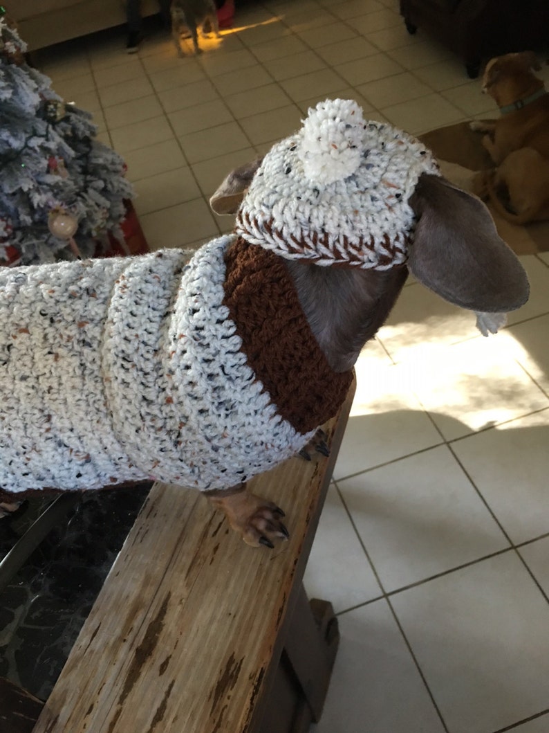 Dog Sweater and Hat Made in Crochet by Dachshund Wear Etsy