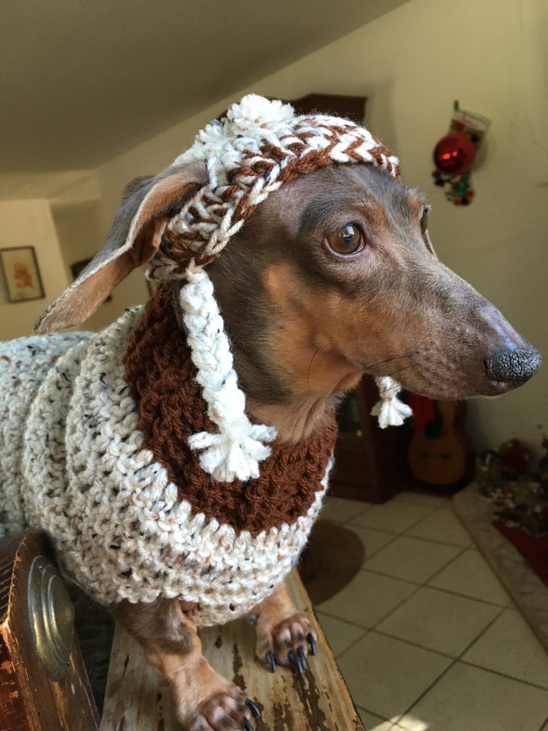 Dog sweater and hat made in crochet by Dachshund Wear image 1