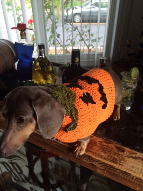 Pumpkin Thanksgiving Dog Sweater Dog Halloween Sweater  Free Country