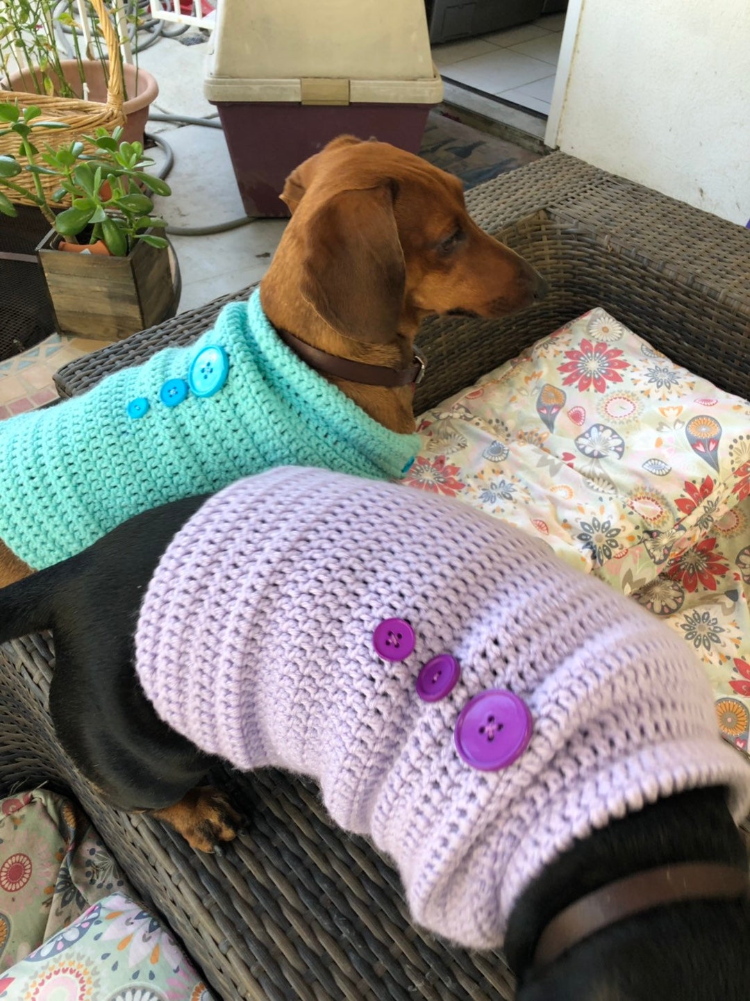 Dog Sweaters With Buttons for a Fancy Look Etsy