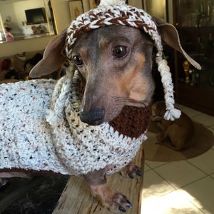 Dog sweater and hat made in crochet by Dachshund Wear image 2