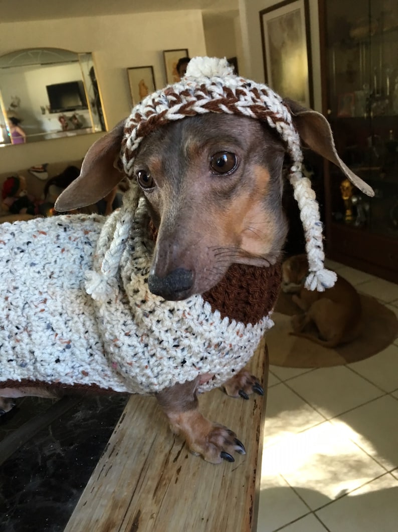 Dog sweater and hat made in crochet by Dachshund Wear image 2