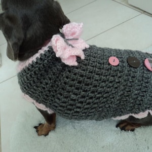 Dog sweater and Puppy Sweater Butterfly Winter Available in Regular Dog Sweater sizes too