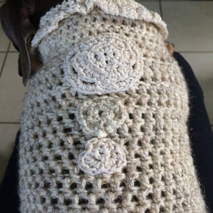 Dog Sweater Oatmeal with crochet details