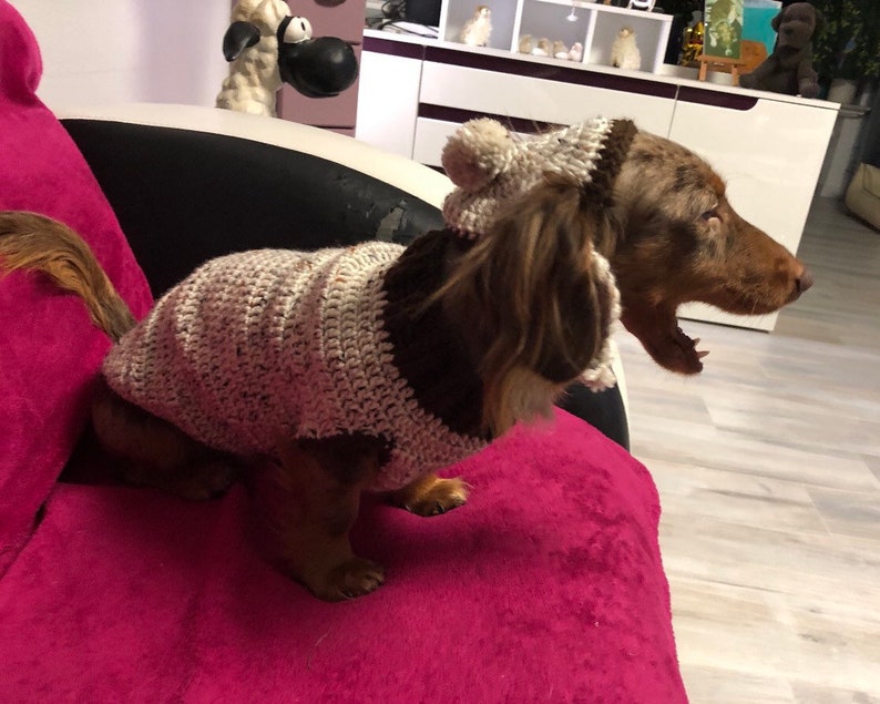 Dog Sweater and Hat Made in Crochet by Dachshund Wear Etsy