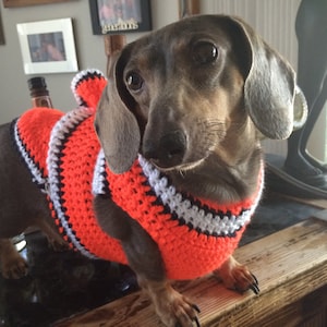Fish Dog Costume Etsy