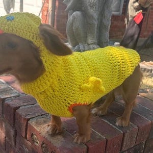 Dog custom Easter Chick Dachshund