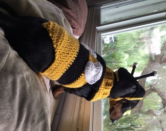 Dog Bumble Bee Custom by Dachshund Wear