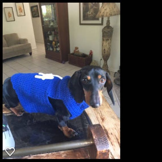 dodger dog sweater