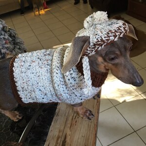 Dog sweater and hat made in crochet by Dachshund Wear image 3