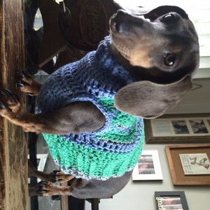 Dog sweater Fashion Dress for your Doxie Dachshund Wear original design to keep it warm and beautiful
