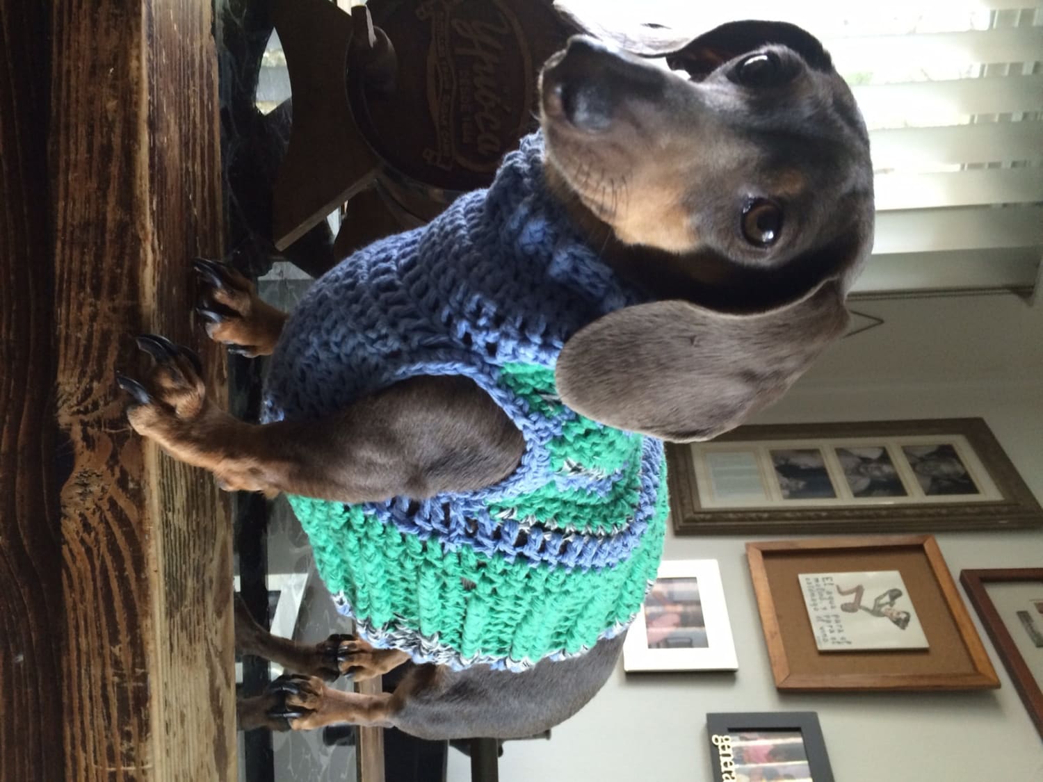 mint green dog dress Dog Green Floral Dress main image 1
