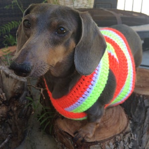 Dog Vest Safety Vest to walk during the night