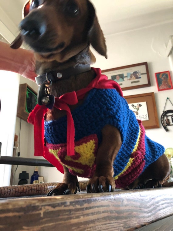 superman dog sweater