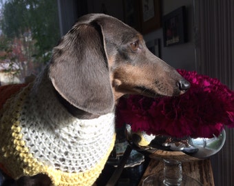 Dog sweater three Color Corn Candy to shine up your Doxie, combination that you just would like to kiss non stop!