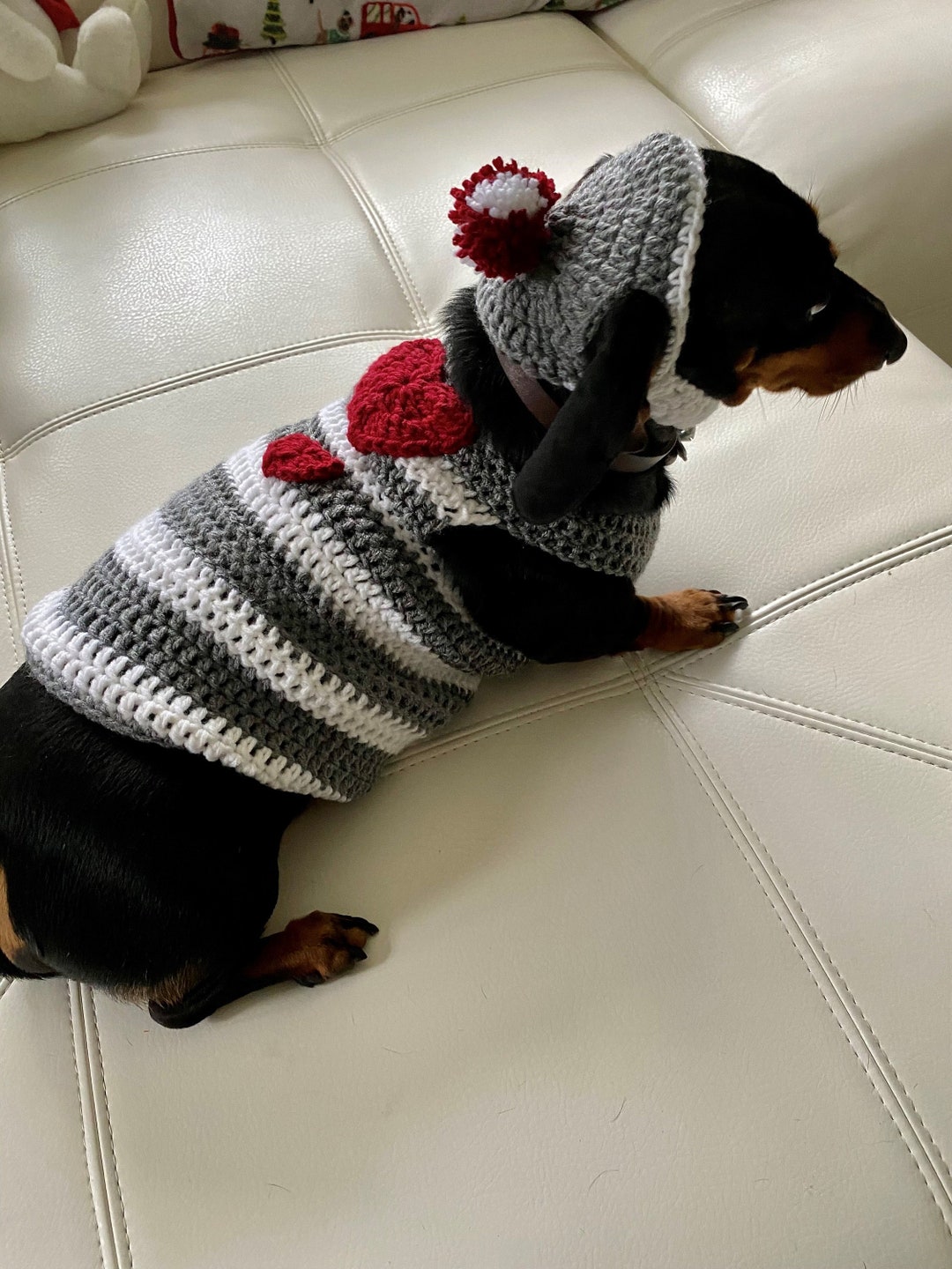 Winter Clothing For Miniature Dachshunds