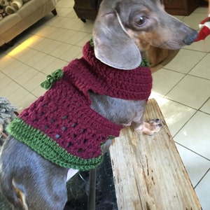 Dog Dress with a Border in Green open Sleeves for Easy Wearing, Hand Made to fit Perfect!