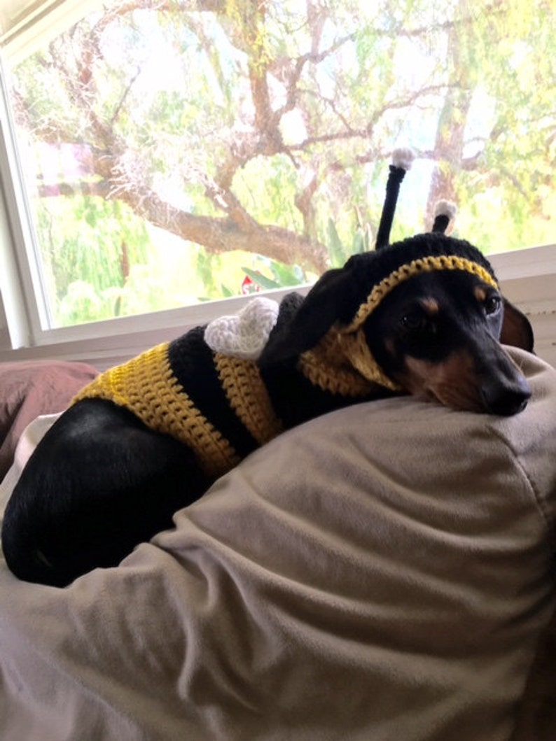 Fur Bee Dog Character Fancy Charm