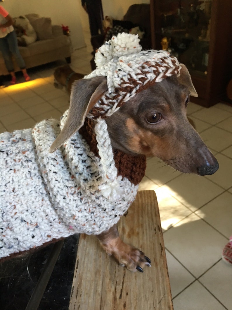 Dog sweater and hat made in crochet by Dachshund Wear image 4