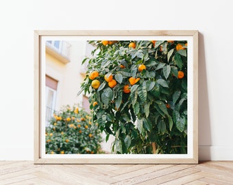 Spain Orange Print | Mediterranean Decor | Travel Photography Living Room Prints | Instant Download Travel Photography Prints