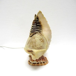 May include: A seashell lamp with a carved design of a woman dancing. The lamp is made of a natural seashell and has a brown and white color scheme.