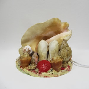 May include: A decorative seashell lamp featuring a large, light-colored conch shell as a backdrop. The base is adorned with various seashells, including a vibrant red scallop shell. The lamp has a power cord.