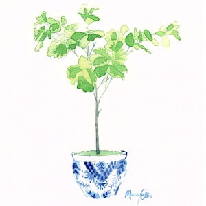 Fiddle Leaf Fig Tree in Chinoiserie Planter #2