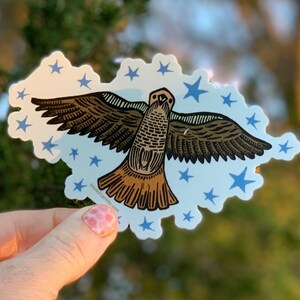 Red Tailed Hawk Vinyl weather proof sticker decal