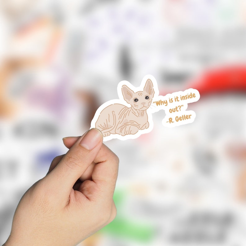 May include: A sticker featuring a cartoon illustration of a hairless cat with the text "Why is it inside out? -R. Geller"
